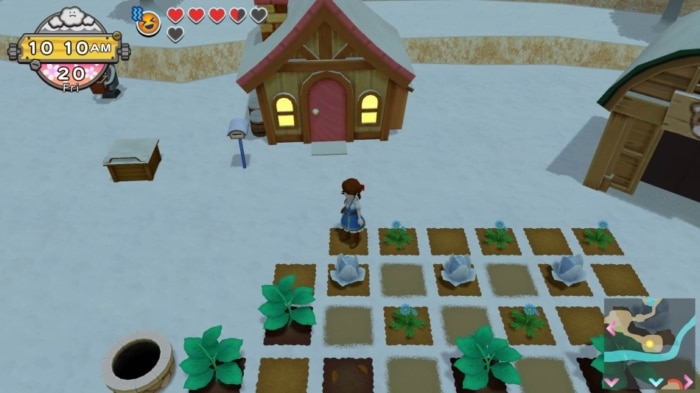 Harvest Moon: One World Winter Farm