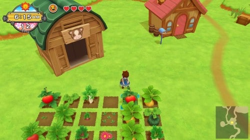 Harvest Moon: One World Summer Tomato