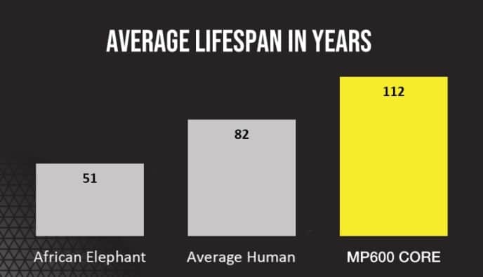 Corsair MP600 Core NVMe SSD Lifespan Diagram