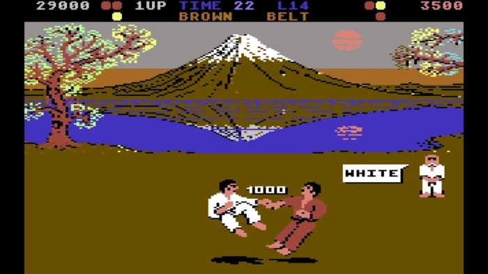 International Karate+ Screenshot