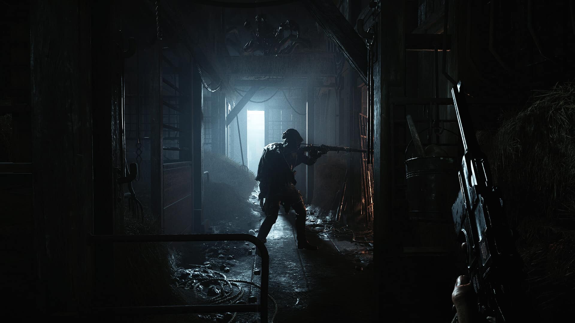 Hunt Showdown - Limited Bounty Hunter Edition Screenshot