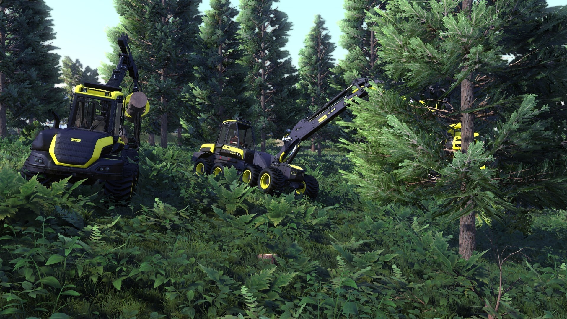 Lumberjack's Dynasty Gameplay 3