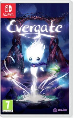 Evergate Nintendo Switch Box