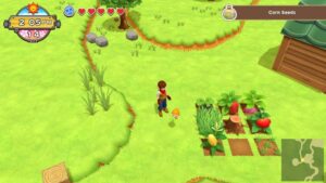 Harvest Moon: One World Seeds
