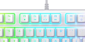 Xtrfy K4 TKL RGB White