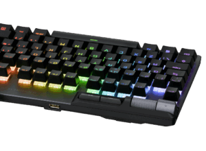 ASUS ROG Strix Flare II Animate
