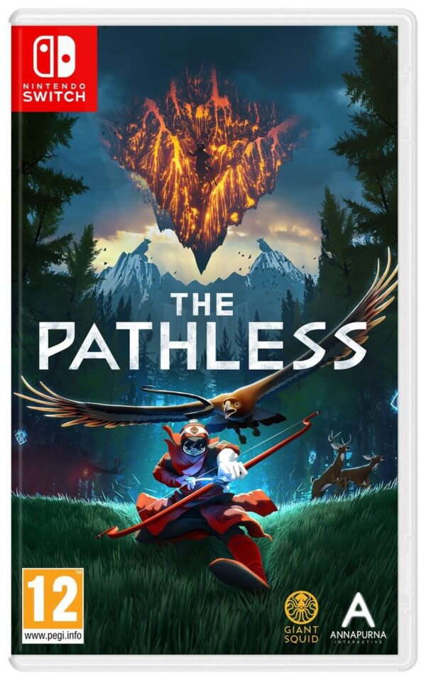 The Pathless Box Art NSW